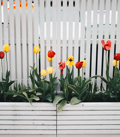 Benefits of Custom Fencing