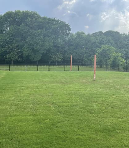 The Best Custom Fencing Options for Sloped Yards