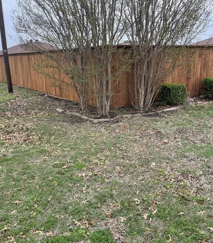 The Benefits of Installing a Custom Privacy Fence